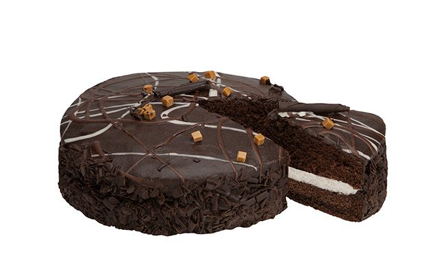dame blanche taart, chocolade taart, foodfotograaf, foodfotografie, beeldbewerker, Irene van der Meijs