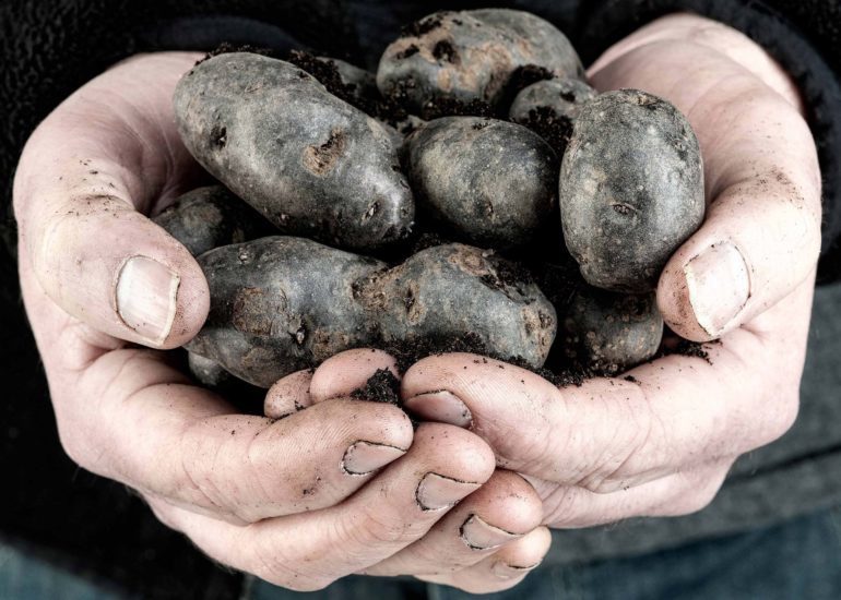 Food foto voor restaurant menukaart