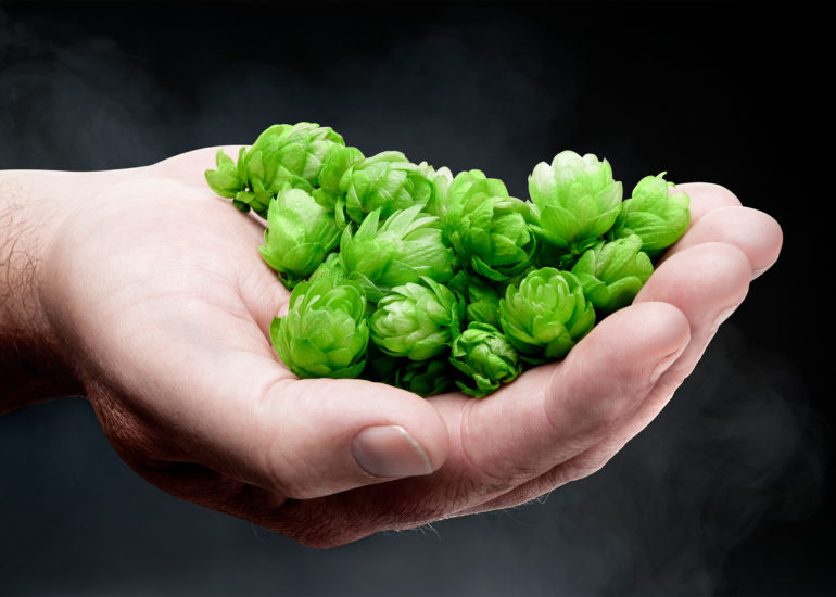 Food foto voor restaurant menukaart