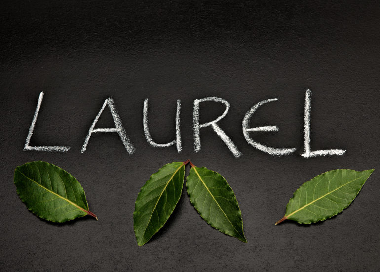 Food foto voor restaurant menukaart