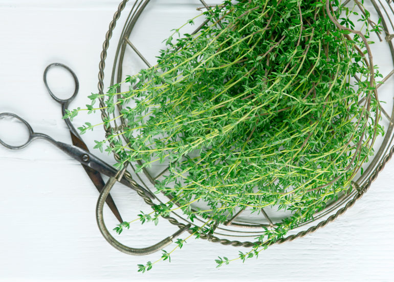 Food foto voor restaurant menukaart