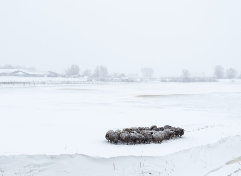 landschapsfotograaf