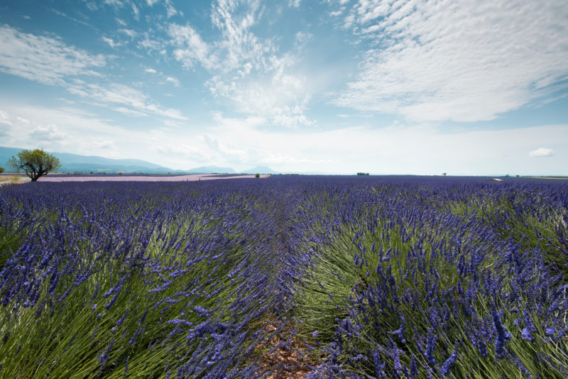 landschapsfotograaf