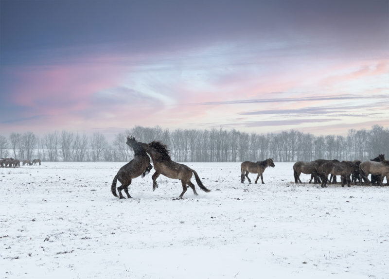 landschapsfotograaf
