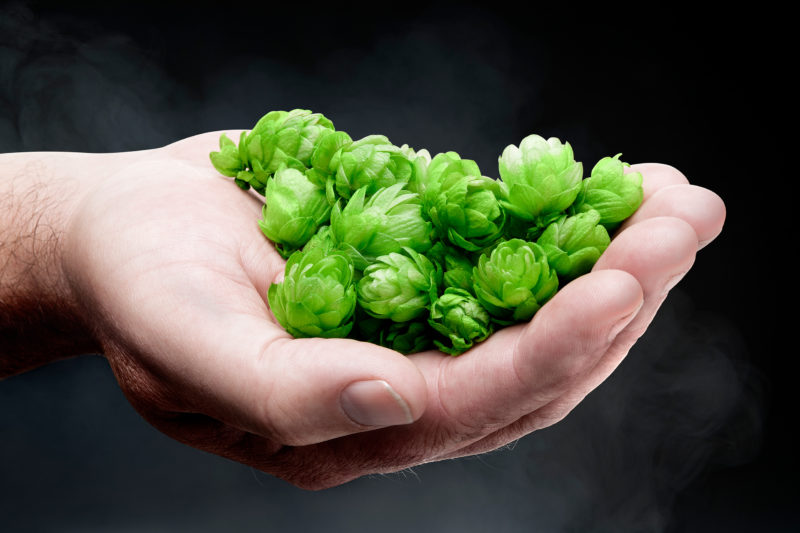 Fotograaf-sustainability_wereld